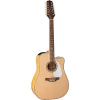Takamine GD74CE-12UNAT Gloss Natural 12-snarige E/A westerngitaar met gigbag