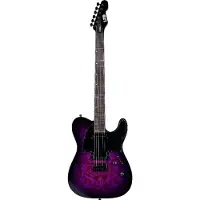 LTD Guitars Te200Dx Purple Burst
