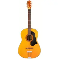 Framus 05/024 Vintage Hootenanny 6-String Tinted High Polish westerngitaar met koffer
