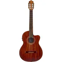 Ortega The Private Room EXOTICSUITECE elektrisch-akoestische klassieke gitaar met gigbag