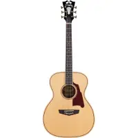D'angelico Premier Tammany Natural