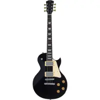 Sire Larry Carlton Larry Carlton L5 Black elektrische gitaar