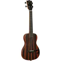 Kala Solid Body Electric Striped Ebony Tenor elektrische ukelele met gigbag