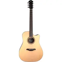 Furch Green Dc-TR a Dreadnought elektrisch-akoestische westerngitaar met gigbag