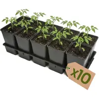 Garronda Set van 10 kweektrays met 10 x 1,7 L potten GD-KW-T
