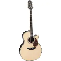 Takamine RNV460C elektrisch-akoestische westerngitaar met soft-case