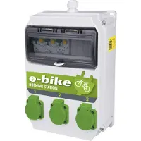 ELSO 9134248 Acculader voor elektrische fiets