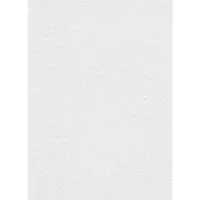Erismann Vinylbehang 536901 - RollOver27 - Overschilderbaar Wit - 106cm x 25,00m