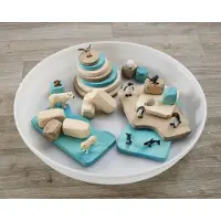 Cosy & Trendy houten speelset ijslandschap 20-delig voor fantasierijk spel.