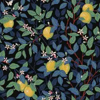 Boråstapeter Vliesbehang 5703 - Orangeri - Botanisch Zwart - 53cm x 10.05m