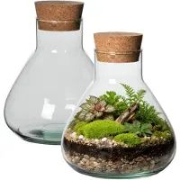 Atmosphera Vaas Terrarium - 2x - rond - met kurk - glas - Dia 22.5 x Hoogte 24 cm - transparant - gerecycled glas - met kurk deksel