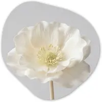MuchoWow Organische wanddecoratie 40x40 cm - Organisch schilderij Bloem - Minimalistisch -Wit - Muurdecoratie woonkamer - Kamer decoratie - Schilderijen - Muurcirkel aesthetic