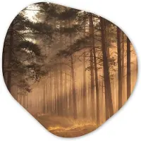 MuchoWow Organische wanddecoratie 60x60 cm - Organisch schilderij Bos - Mist - Zonlicht - Muurdecoratie woonkamer - Kamer decoratie - Schilderijen - Muurcirkel aesthetic