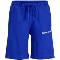 Jack & jones Junior Broek 'JPSTKARL NORREBRO' blauw / wit