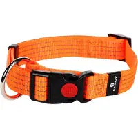 Flamingo Len - Halsband Honden - Halsband Len Oranje L 45-65cm 25mm - 1st - 125002 - 1st