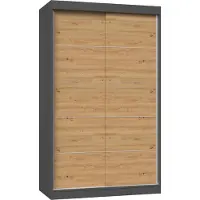 Top E Shop Iga 120C ANTRACIET ARTISAN kledingkast