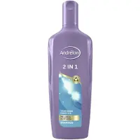 Unilever Andrelon Shampoo 300 ml 2 in 1