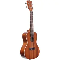 Kala Satin Mahogany Concert ukelele met gigbag