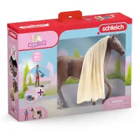 Schleich Leorocky Starter Set 42586 Toy Veelkleurig Kinderen
