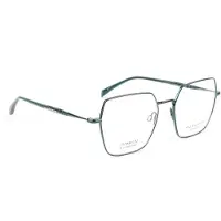 Ana Hickmann Optical Frame AH1548T 12A 54 Titanium