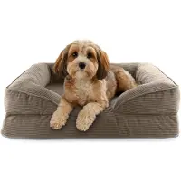 Lumaland orthopedisch hondenbed van corduroy | ergonomische hondensofa 70x60 cm – voor kleine honden | antislipbodem | vulling en hoes wasbaar | hondenmand met traagschuim