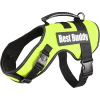 Flamingo Hondentuig Best Buddy Uranus Neon Groen