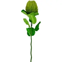 Easyplants | Kunstbloem Banksia 59 cm groen | Zijde | Nepbloemen | groen | Onderhoudsvrij | Kant-en-klaar