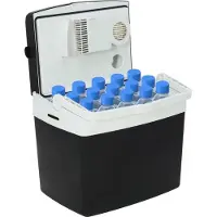 DNA Koelbox - Koelbox Elektrisch - Compressor Koelbox - Elektrische Koelbox 12 en 230 Volt - Zwart - 31cm x 43cm x 37cm
