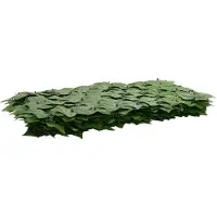 vidaXL Balkonscherm met bladeren 300 x 150 cm Polyethyleen en Stof