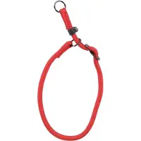 Flamingo Aiden - Anti-trek Halsband Honden - Anti-trek Halsband Aiden Rood Xs 40cm 8mm - 1st - 132826 - 1st
