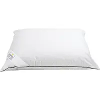Vitality Pur Anti-Allergisch Hoofdkussen – 40x80 cm - 100% Anti-Huisstofmijt & Bacteriën – Zacht & Comfortabel – Voor Alle Slaaphoudingen