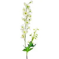 Easyplants | Kunstbloem Delphinium 79 cm wit | Zijde | Nepbloemen | wit | Onderhoudsvrij | Kant-en-klaar