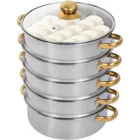 Ren RONN Stoomkoker - Stoomkokers - Stoompan - Goud / Zilver - 42cm x 32cm x 30 cm ; 2.7 kg