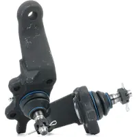 RIDEX 2462S0509 Fuseekogel