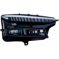 Hella 1EX 016 220-621 Koplamp