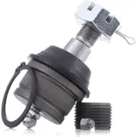 RIDEX 2462S0252 Fuseekogel