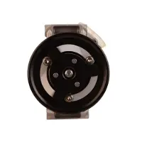 Walker WCP00397 Aircopomp