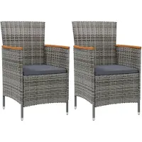 The Living Store Tuinset - Tuinstoelen - Tuinstoelen 2 st poly rattan grijs - Outdoor Furniture - Lounge Stoel - Relax Stoel