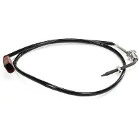 Delphi TS30409-12B1 Sensor, uitlaatgastemperatuur