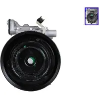 Walker WCP00300 Aircopomp