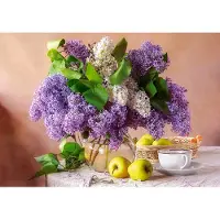 Castorland puzzel lilac stilleven - 500 stukjes legpuzzel.