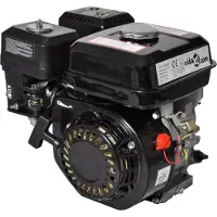 vidaXL Benzinemotor 6,5 PK 4,8 kW zwart
