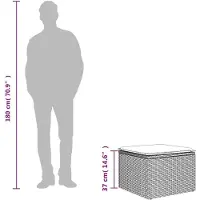 vidaXL Tuinkruk met kussen 55x55x37 cm poly rattan grijs