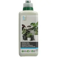 Intratuin Binnenplanten Voeding 800 Ml