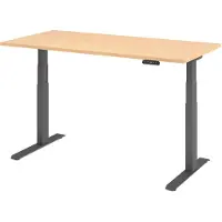Hjh OFFICE PRO XDKB 16 G - Esdoorn 160 x 80 Tafelhoogte I Elektrisch in hoogte verstelbaar