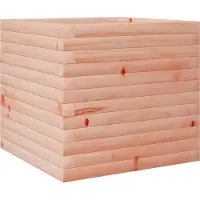 vidaXL Plantenbak 50x50x45,5 cm massief douglashout