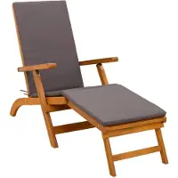 vidaXL Ligstoel die kan leunen en vouwen 55 x 146 x 91 cm