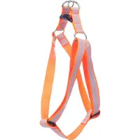 Flamingo Hond Harnas Step&Go Fierro Fluo oranje XL 60-90cm 60-90cm 25mm