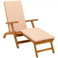 vidaXL Ligstoel die kan leunen en vouwen 55 x 146 x 91 cm