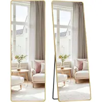 OEM Spiegel - Rechthoekige spiegel - Hoge spiegel - Gemaakt van hardglas en aluminium - 160 cm x 50 cm - Elegante gouden versiering